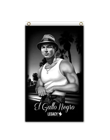 GALLO NEGRO BANNER